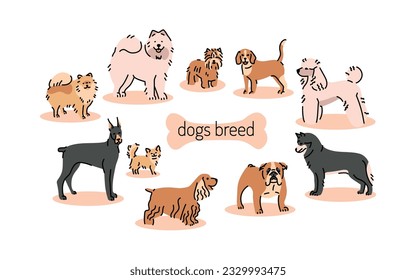 Cat breeds color elements. Digital illustrations for web page, mobile app, promo.