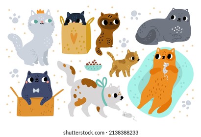 Cat breeds. Cute animals in different poses and activities, funny pets, playful kittens, cartoon hand drawn characters, various colors wool, cats playing with mouse