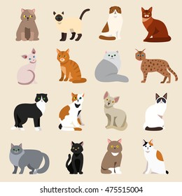 Cat breeds cute pet animal set vector illustration