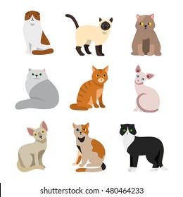 Cat breeds cute pet animal set vector illustration