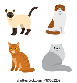 Cat breeds cute pet animal set vector illustration