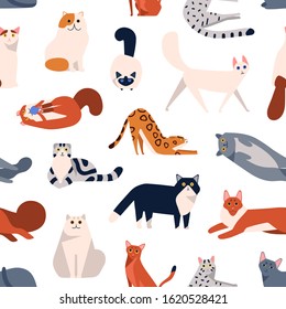 Cat breeds flat vector seamless pattern. British shorthair, Turkish Angora, American curl kittens decorative cartoon background. Domestic animals playing, sitting color texture design.