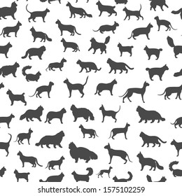 Cat breeds icon set flat style seamless pattern. Cartoon silhouettes cats characters collection. Vector illustration