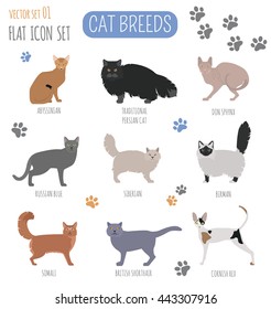 Cat breeds icon set flat style. Vector illustration