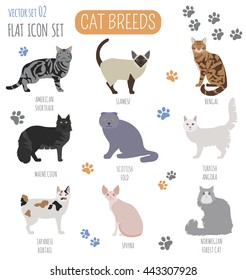 Cat breeds icon set flat style. Vector illustration