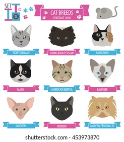 Cat breeds icon set flat style. Vector illustration
