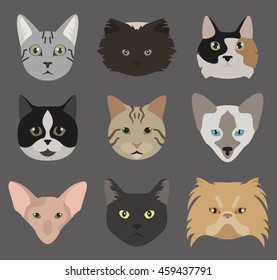 Cat breeds icon set flat style. Vector illustration