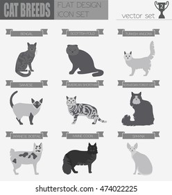 Cat breeds icon set flat style. Vector illustration