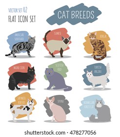 Cat breeds icon set flat style. Vector illustration
