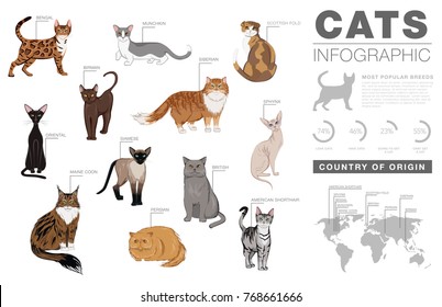 Cat Breeds Infographic Template, Vector Icons