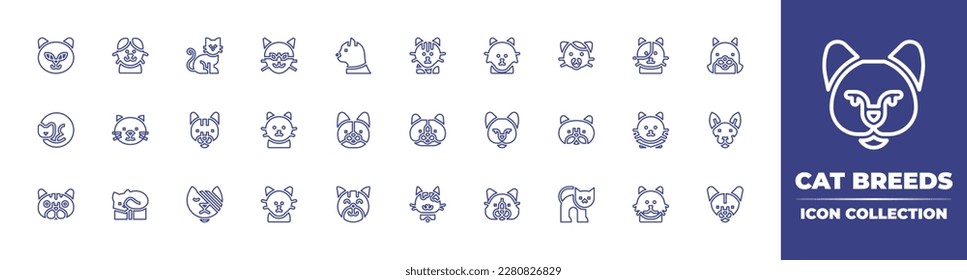Cat breeds line icon collection. Editable stroke. Vector illustration. Containing cat, scottish fold cat, black cat, bengal, turkish angora, norwegian forest, russian blue, shorthair.
