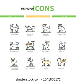 Cat breeds - modern line design style icons set on white background. A collection of beautiful purebred pets. Abyssinian, American bobtail, ragamuffin, Russian blue, Cornish Rex, Manx, Laperm animals