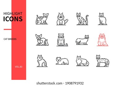 Cat breeds - modern line design style icons set on white background. A collection of beautiful purebred pets. Devon Rex, Maine Coon, Bengal, Siamese, Sphynx, Munchkin, Siberian, Scottish fold animals