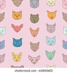 Cat breeds seamless pattern on a pink background. Color american shorthair, scottish fold, bengal, siamese, sphynx, abyssinian, turkish angora, persian, oriental shorthair, nebelung, american curl. 