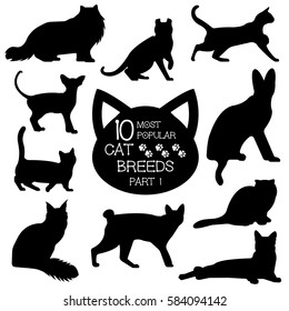 Cat breeds set. Cats icons. Cat breeds silhouette. Most popular cat breeds, part 2.