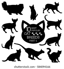 Cat breeds set. Cats icons. Cat breeds silhouette. Most popular cat breeds, part 1.