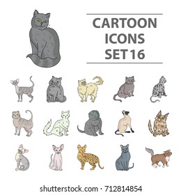 Cat breeds set icons in cartoon style. Big collection of cat breeds vector symbol stock illustration