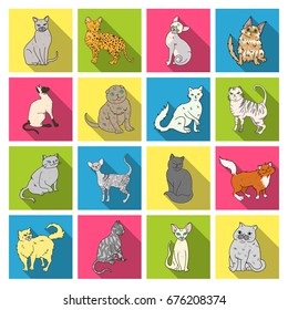 Cat breeds set icons in flat style. Big collection of cat breeds vector symbol stock illustration