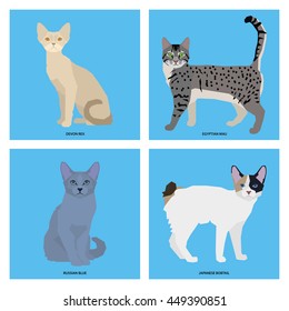 Cat breeds, set, Vector illustration