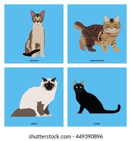 Cat breeds, set, Vector illustration