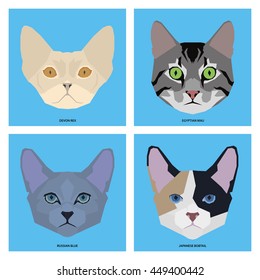 Cat breeds, set, Vector illustration