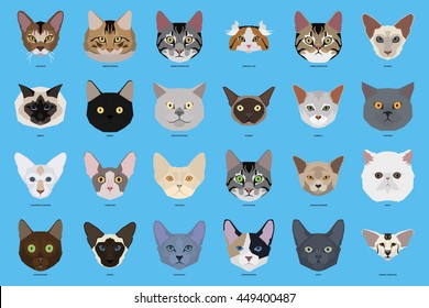 Cat breeds, set, Vector illustration