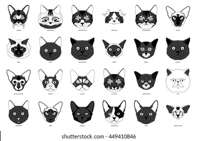 Cat breeds, set, Vector illustration