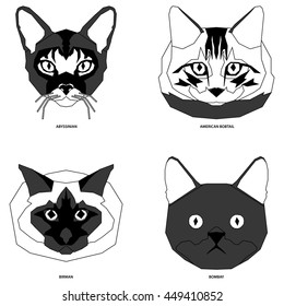 Cat breeds, set, Vector illustration