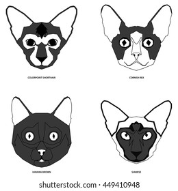 Cat breeds, set, Vector illustration