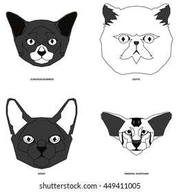 Cat breeds, set, Vector illustration