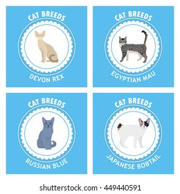 Cat breeds, set, Vector illustration