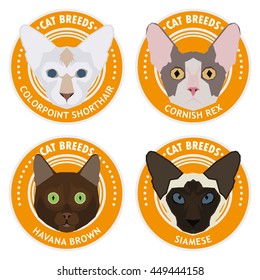 Cat breeds, set, Vector illustration