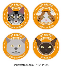Cat breeds, set, Vector illustration