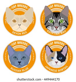 Cat breeds, set, Vector illustration