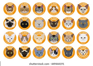 Cat breeds, set, Vector illustration