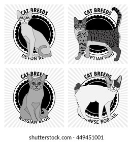 Cat breeds, set, Vector illustration