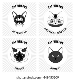 Cat breeds, set, Vector illustration