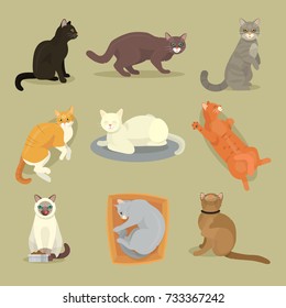 Cat breeds vector cute kitty pet cartoon cute animal cattish character set catlike illustration