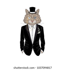 cat bridegroom, furry art illustration