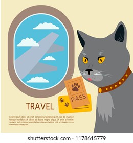  Cat  British Shorthair Flies By Plane Whith Pasport And Ticket.  Vector Illustration.