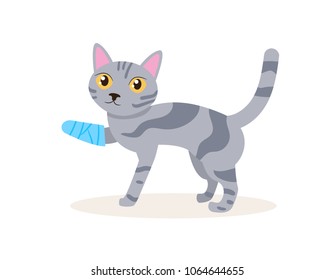  Cat with a broken leg Vector. Cartoon. Isolated art on white background. Flat
