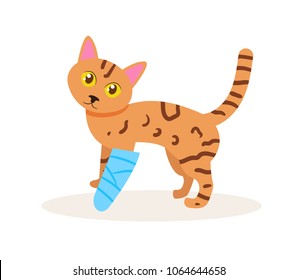  Cat with a broken leg Vector. Cartoon. Isolated art on white background. Flat