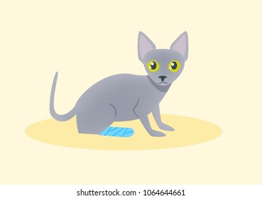  Cat with a broken leg Vector. Cartoon. Isolated art on white background. Flat