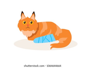  Cat with a broken leg Vector. Cartoon. Isolated art on white background. Flat