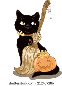 Cat and Broom