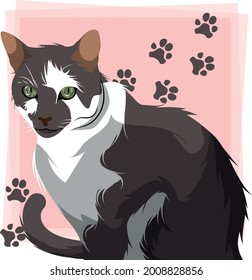 A cat with brown and white fur on a pink background with cat paw print on it.