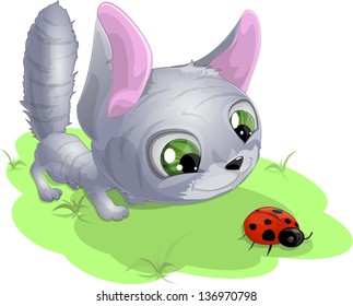 cat and bug