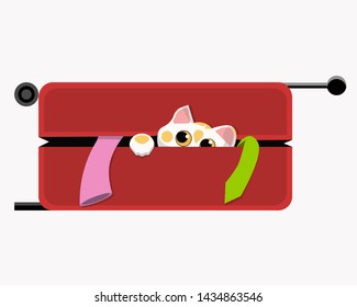 The cat bully in a suitcase with things which people gathered for vacation. For the day of cats. Flat design. Illustration.