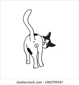 Cat Butt Coloring book for Cat Lovers 