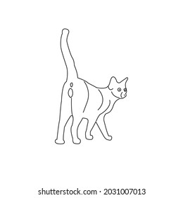 cat butt coloring pages for adults